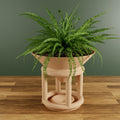 Funnel Planter